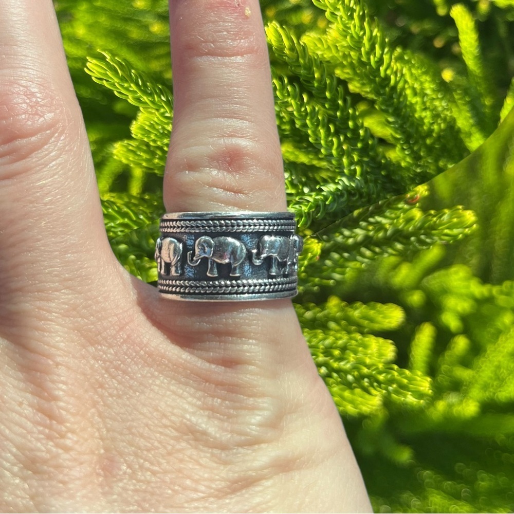 Elephant Ring - Picture 2 of 2